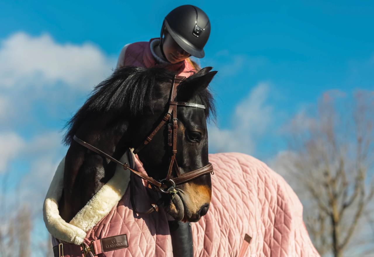 Cavalla PFS Pony Francese da Sella Noleggio 2017 Nero ,  WELCOME SYMPATICO