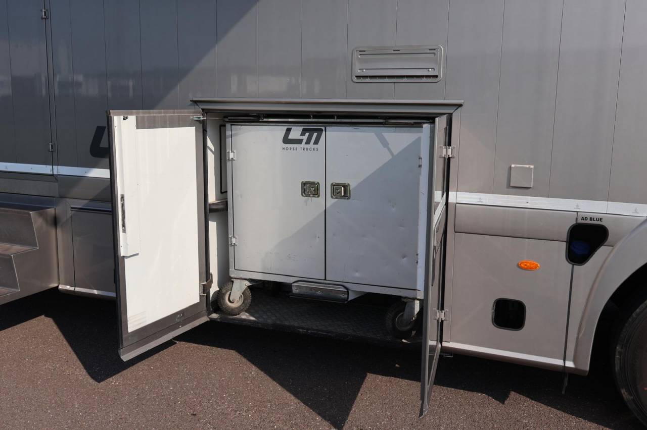 Camion per Cavalli STX STX 6 CHEVAUX  2011 Occasione