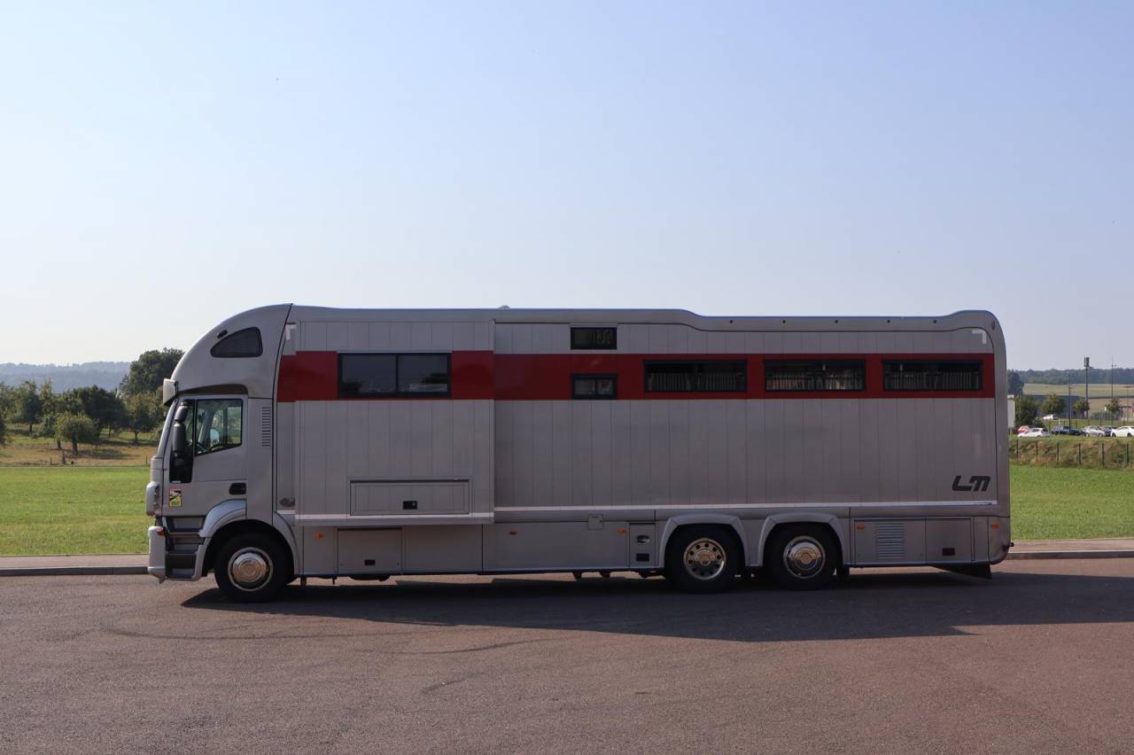 Camion per Cavalli STX STX 6 CHEVAUX  2011 Occasione