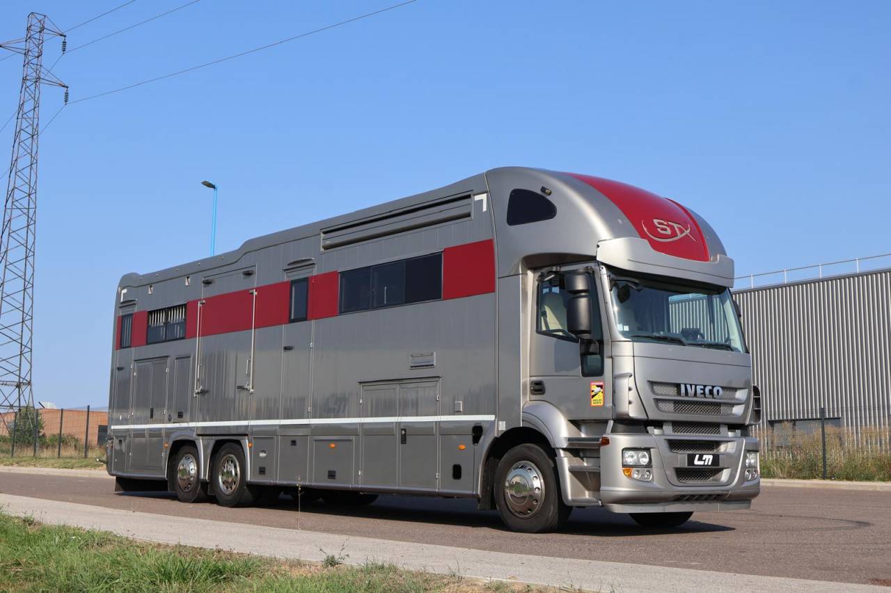 Camion per Cavalli STX STX 6 CHEVAUX  2011 Occasione