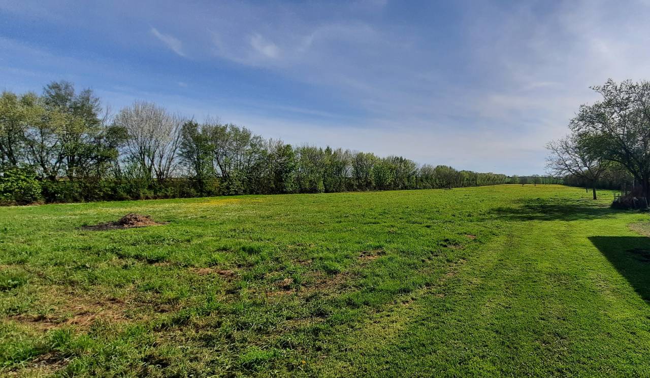 Bella dimora equestre In vendita Charente-Maritime