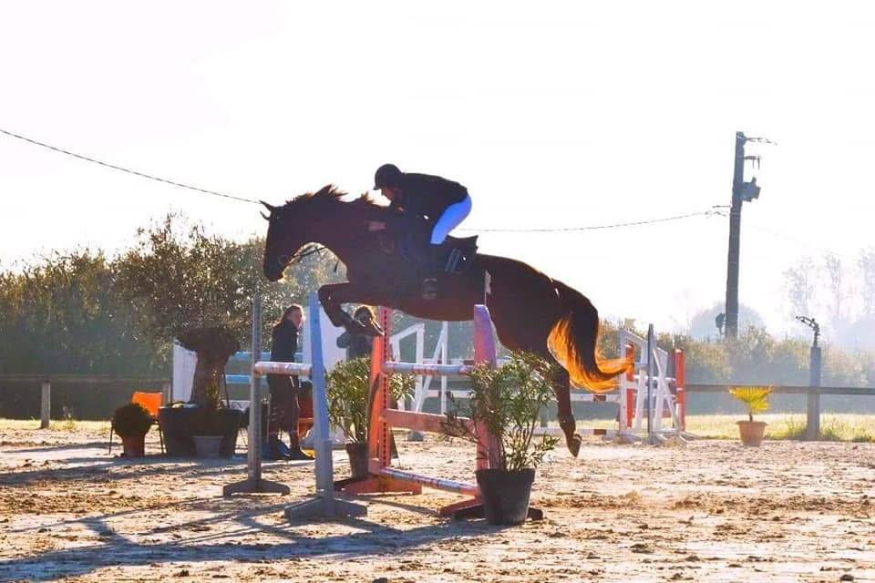 Elevage de beloye  
