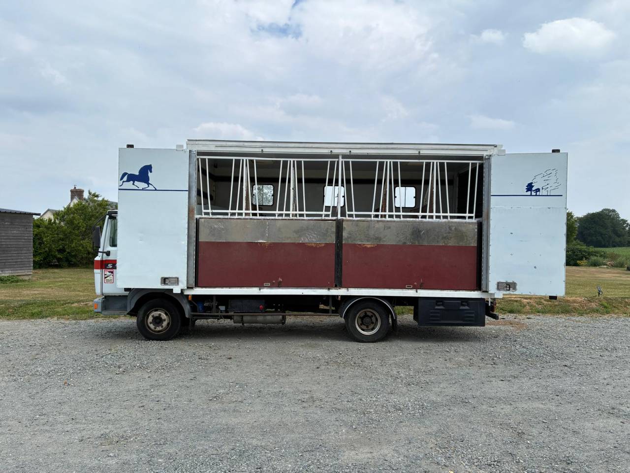 Camion per Cavalli Renault RENAULT 1998 Occasione