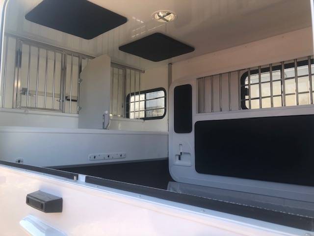 Van per Cavalli Trans Box Svelto 5 2023 Occasione