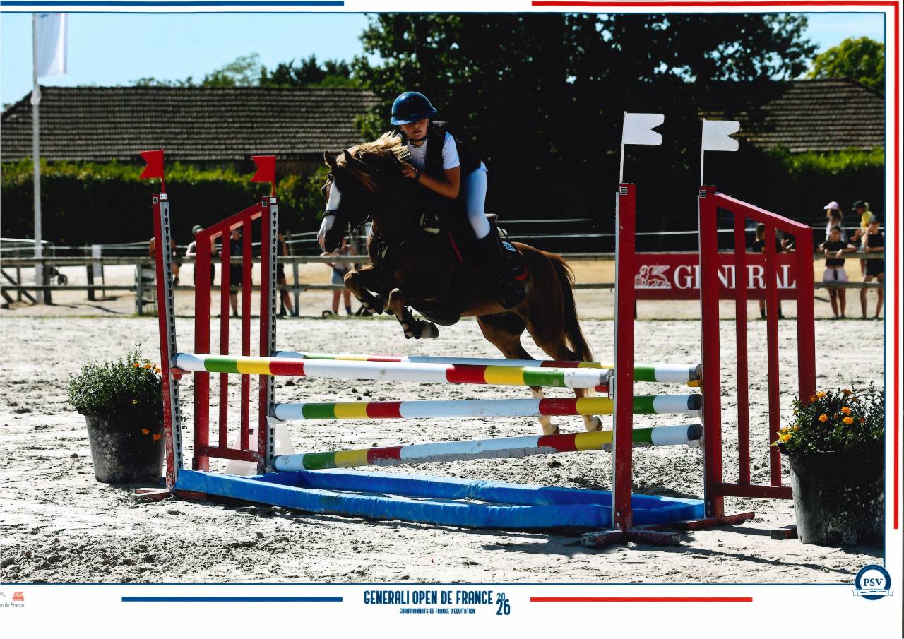 Puledra Welsh Poney (Sezione B) In vendita 2025 Sauro ,  EYARTH ANOKI