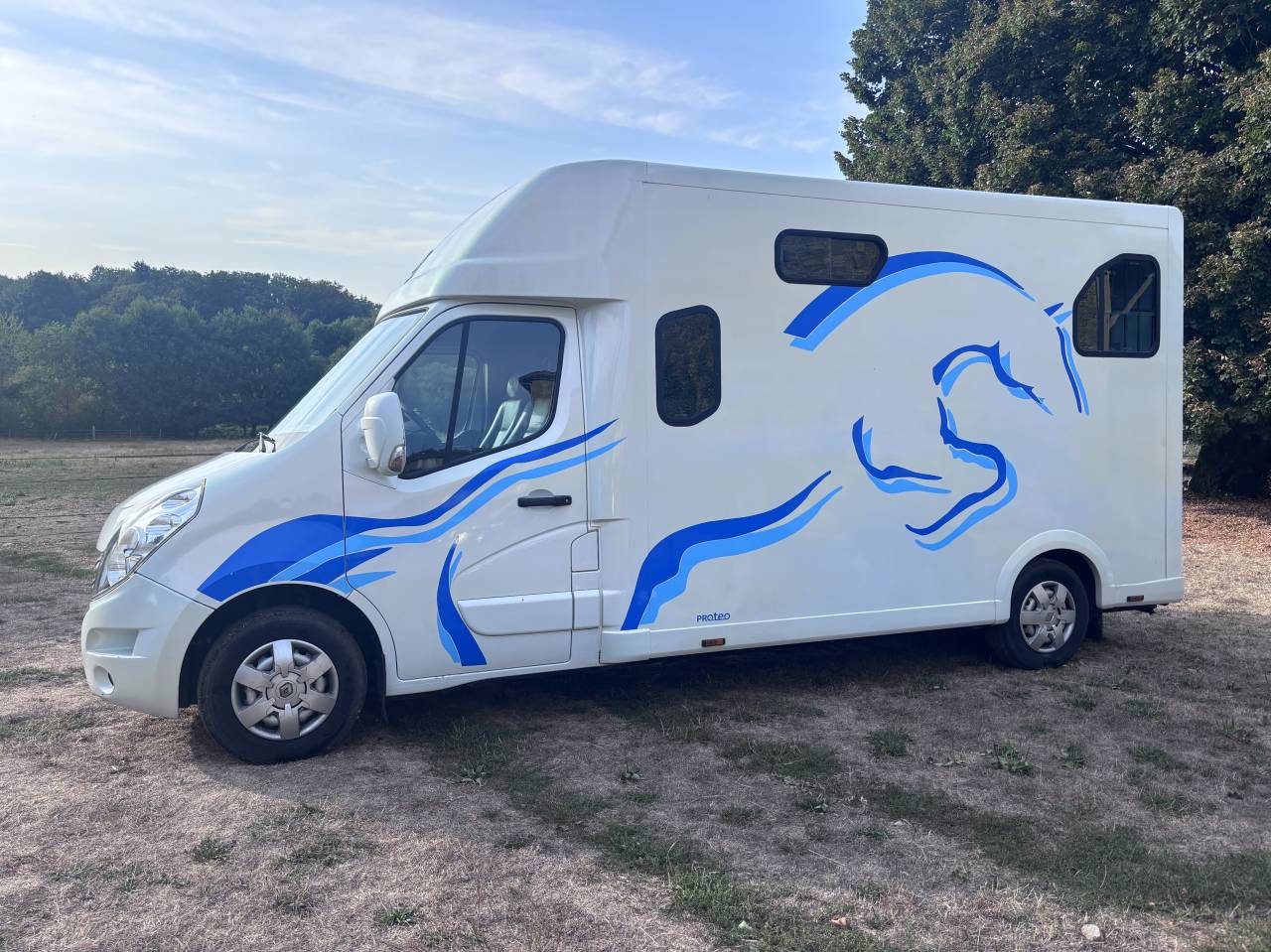 Van per Cavalli Renault Master Proteo 2010 Occasione