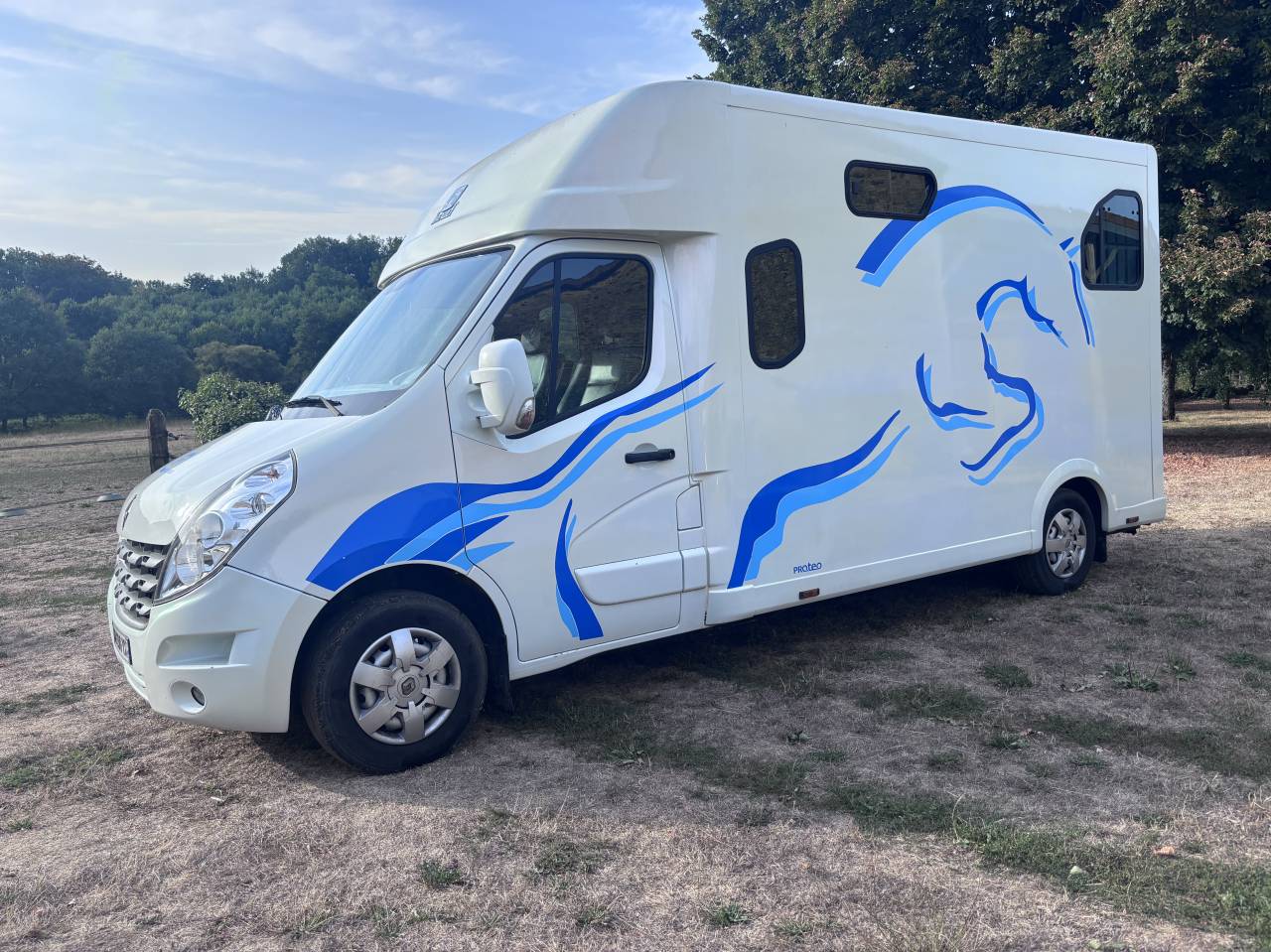 Van per Cavalli Renault Master Proteo 2010 Occasione
