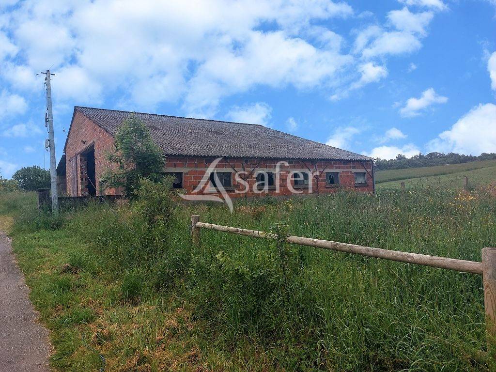 Azienda agricola In vendita Haute-Vienne