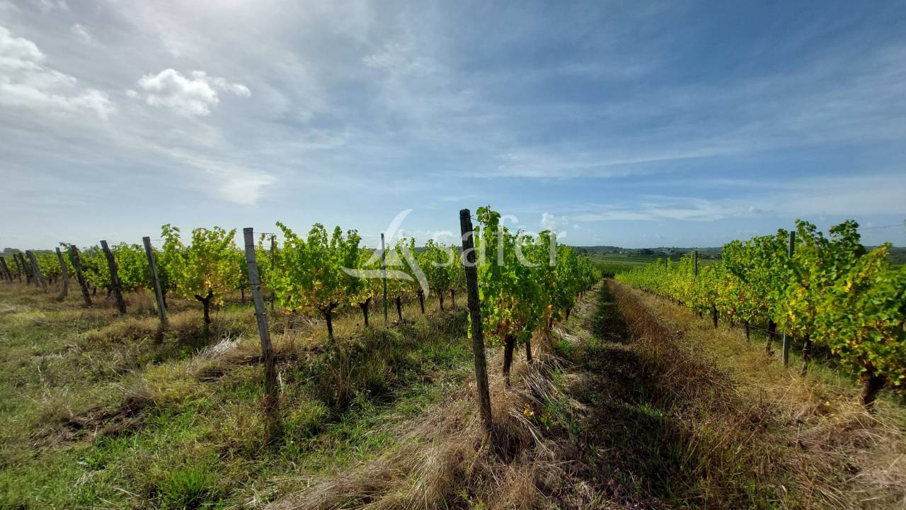 Propriet&agrave; rurale In vendita Gironde