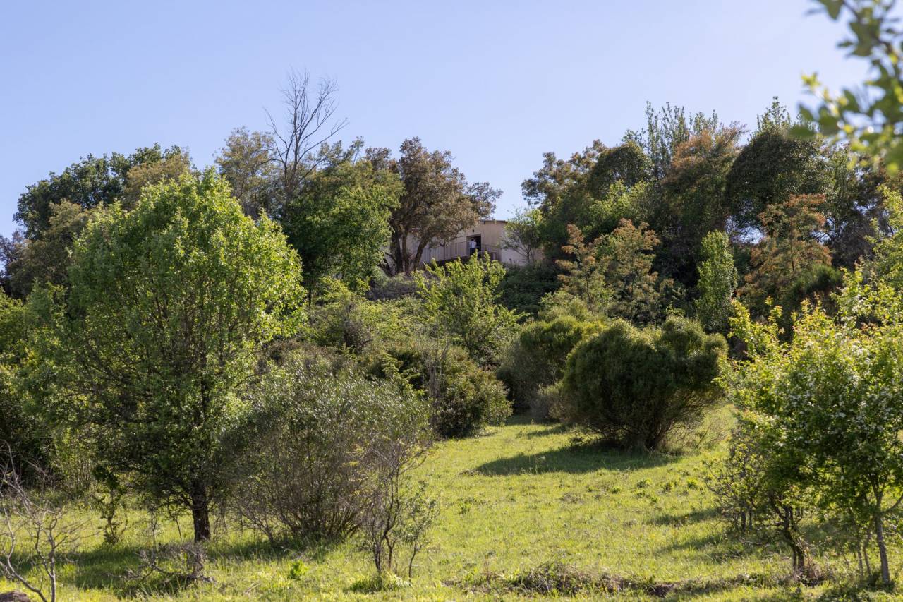 Propriet&agrave; equestre In vendita Alpes-Maritimes