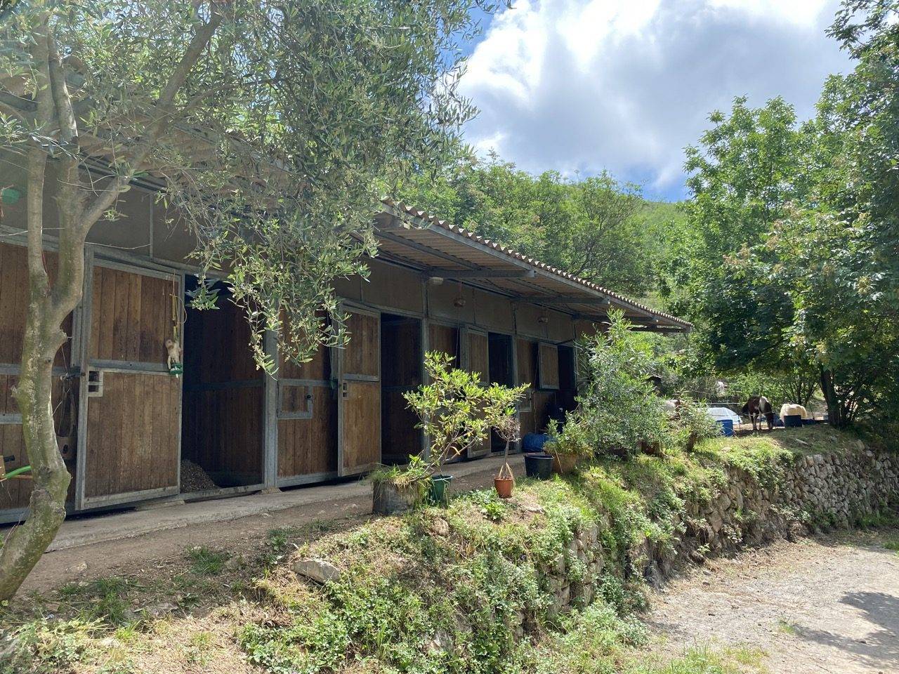 Propriet&agrave; equestre In vendita Alpes-Maritimes