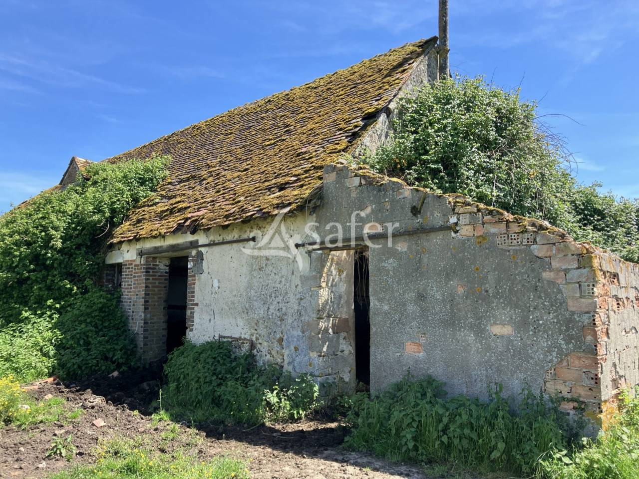 Azienda agricola In vendita Loiret