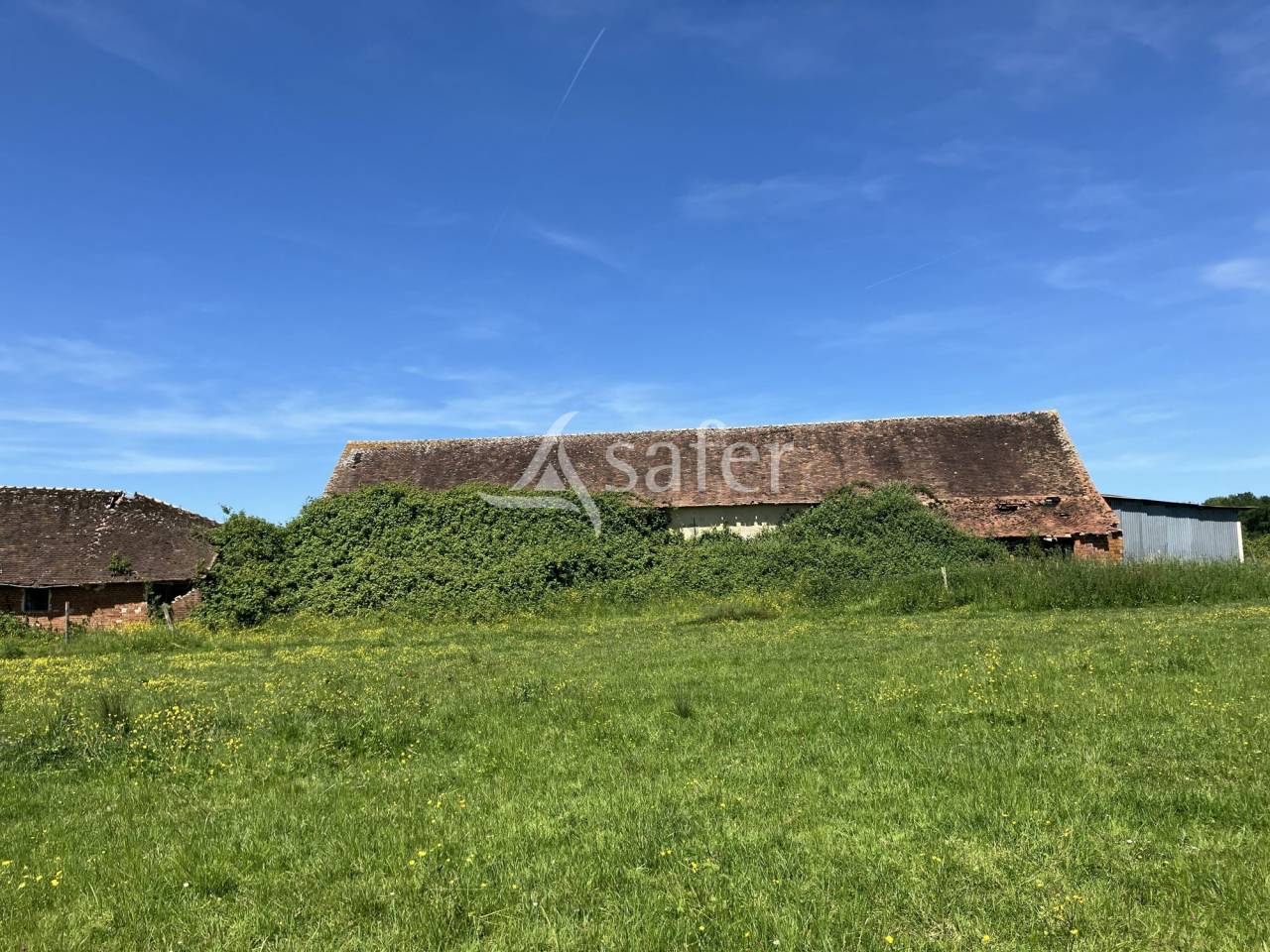 Azienda agricola In vendita Loiret