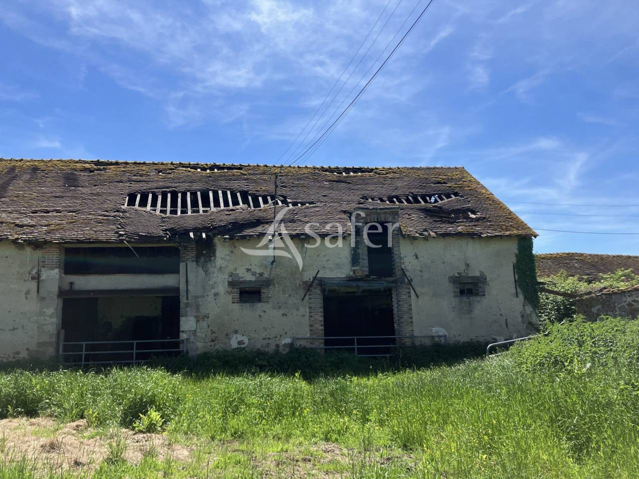 Azienda agricola In vendita Loiret
