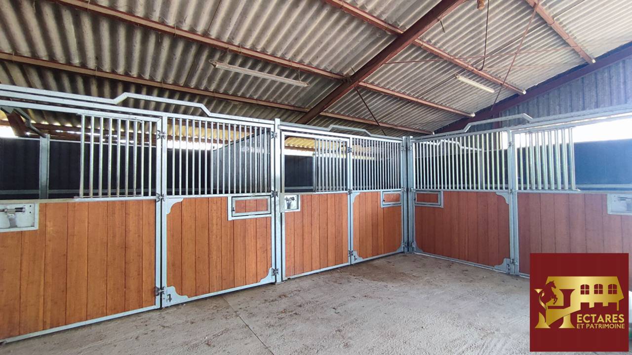 Alloggio equestre In vendita Sa&ocirc;ne-et-Loire