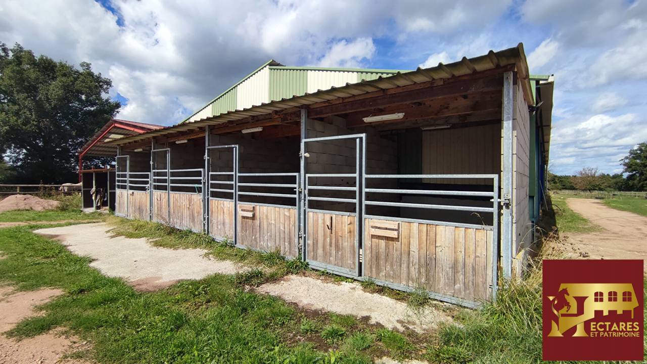 Alloggio equestre In vendita Sa&ocirc;ne-et-Loire
