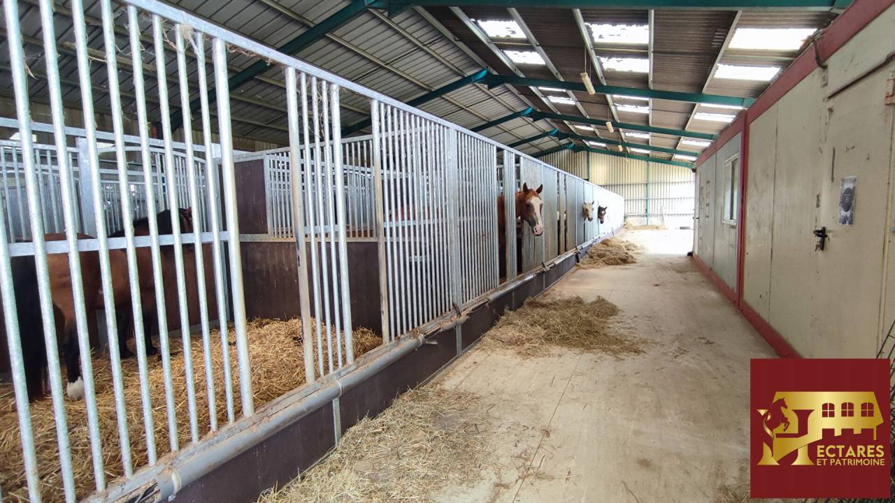Alloggio equestre In vendita Sa&ocirc;ne-et-Loire