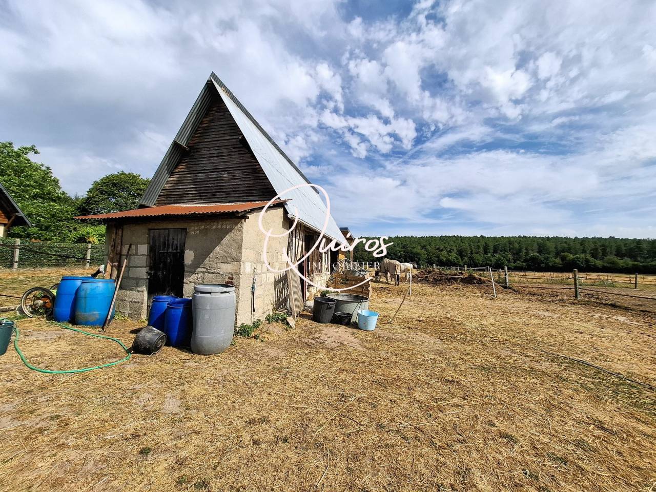 Propriet&agrave; equestre In vendita Seine-Maritime