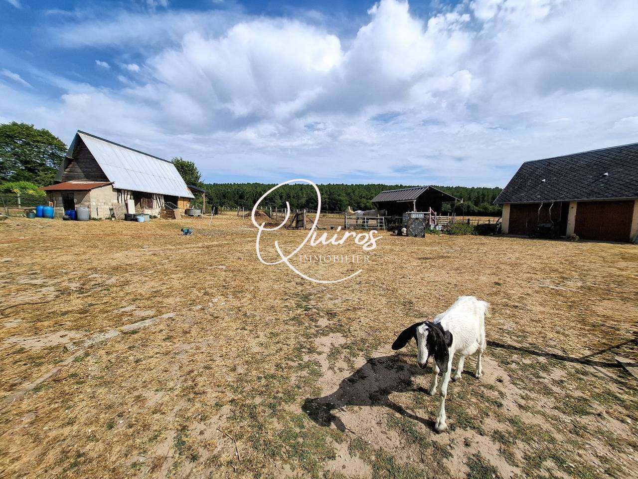 Propriet&agrave; equestre In vendita Seine-Maritime