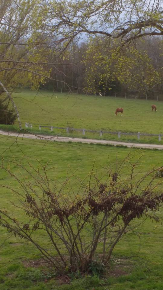 Propriet&agrave; equestre Noleggio Lot-et-Garonne