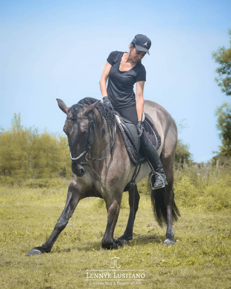 Stallone Lusitano In vendita 2018 Grullo ,  OUREM SAG