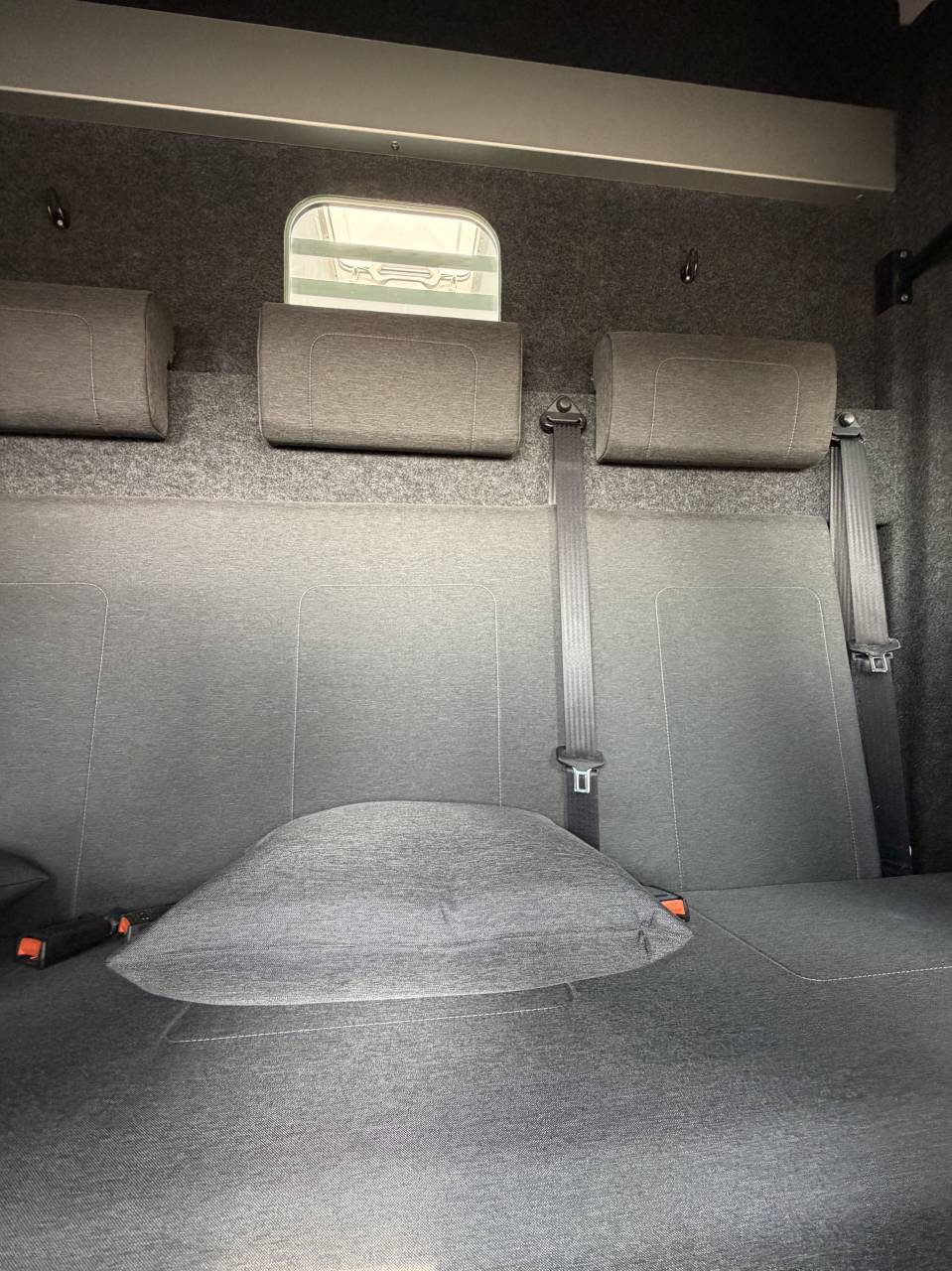 Van per Cavalli Barbot LS5 Renault master  2026 Nuovo