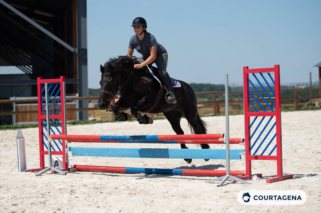 Cavalla M&eacute;rens In vendita 2019 Nero ,  obao de sie