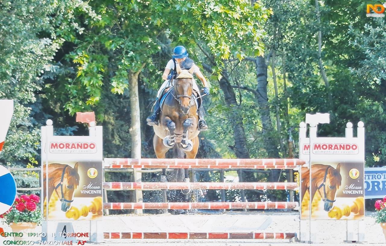 Cavalla 9 anni da Vleut x Corrado I - Vincente in 125 c