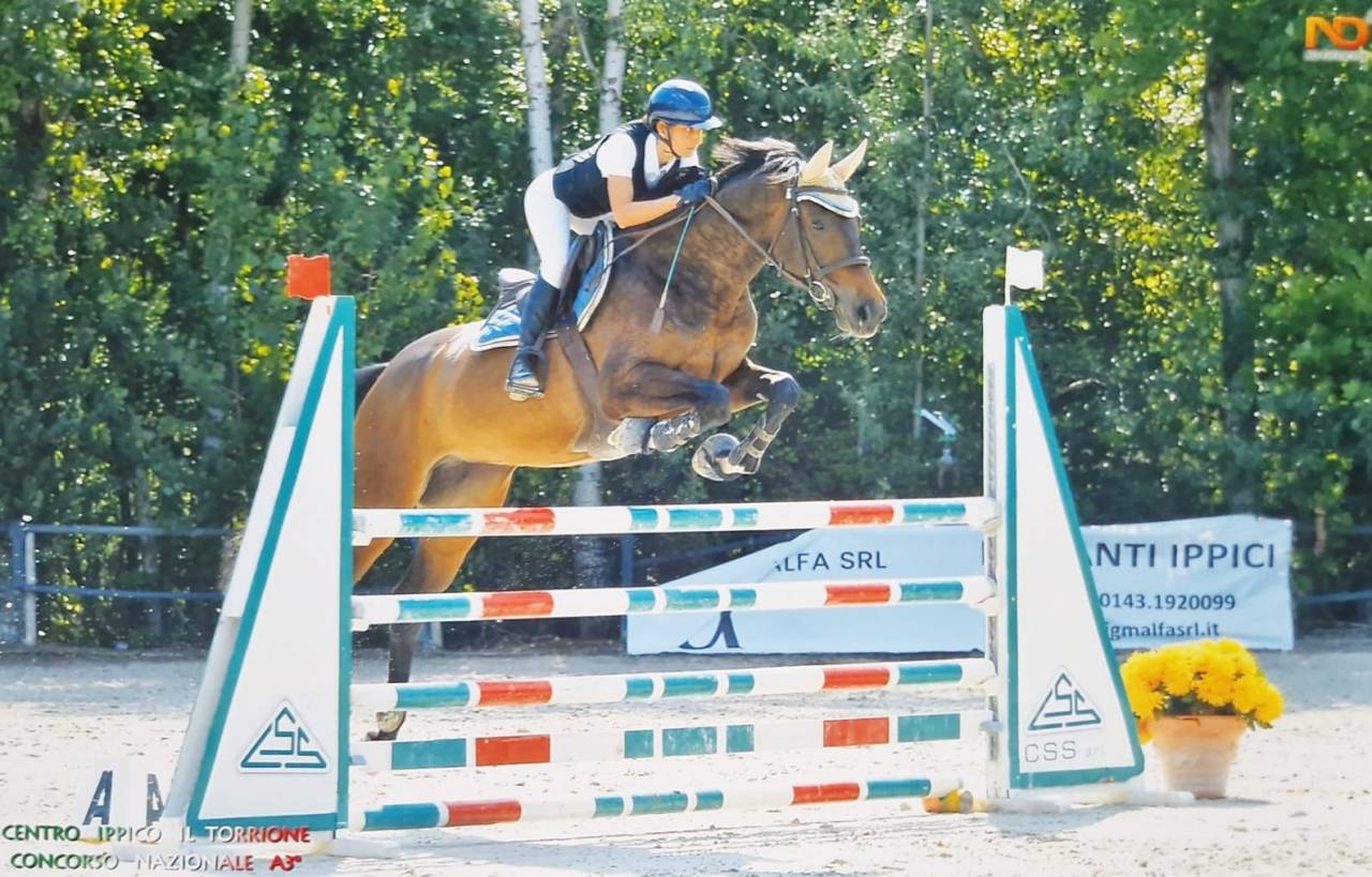 Cavalla 9 anni da Vleut x Corrado I - Vincente in 125 c