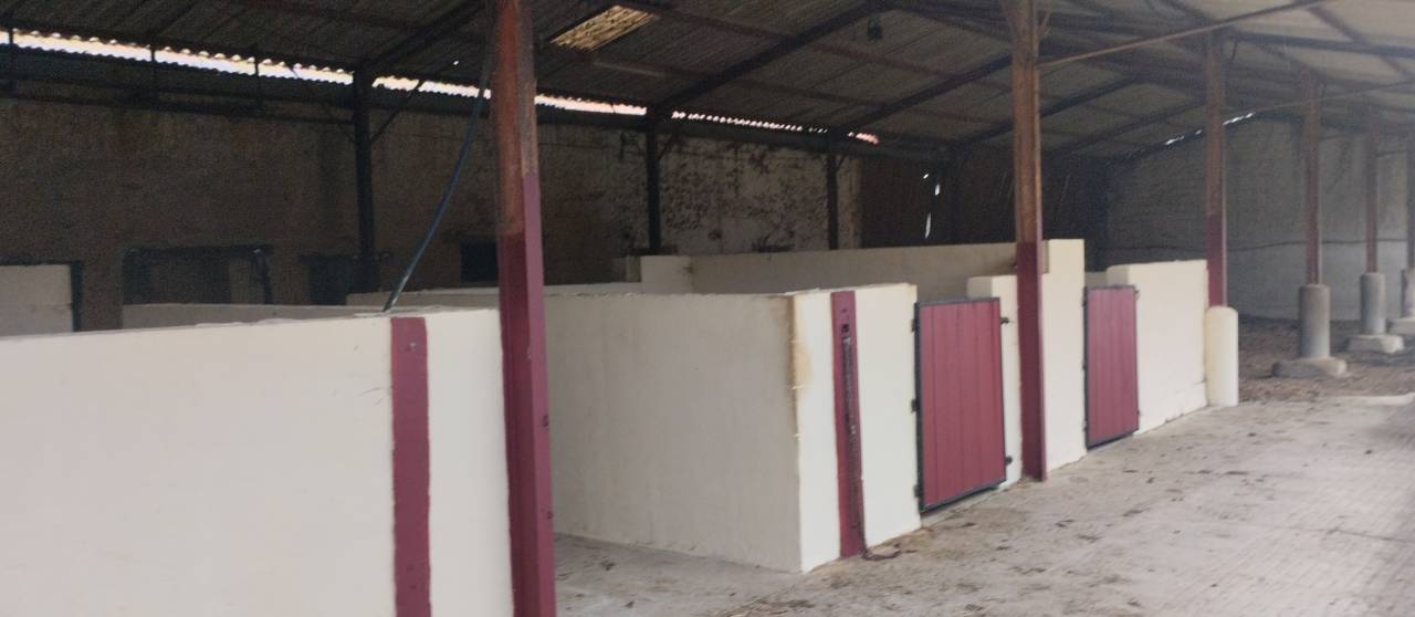 Bella dimora equestre In vendita Landes