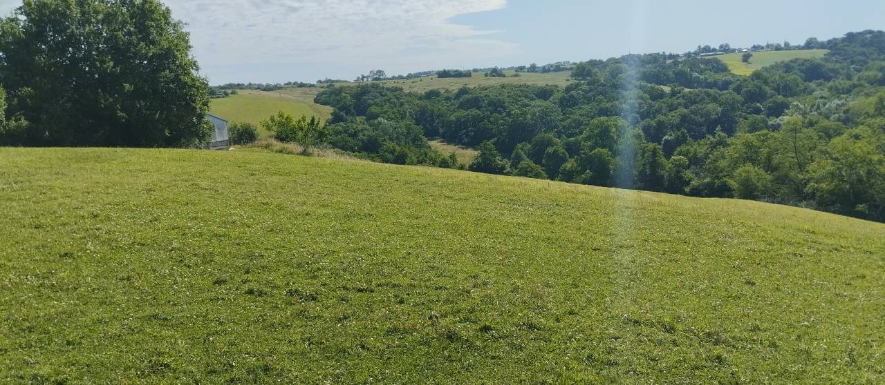 Bella dimora equestre In vendita Landes