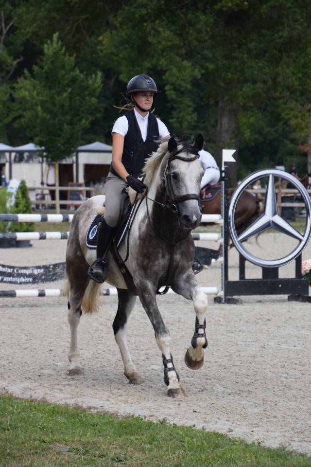 Castrone Sella Francese In vendita 2018 Pezzato