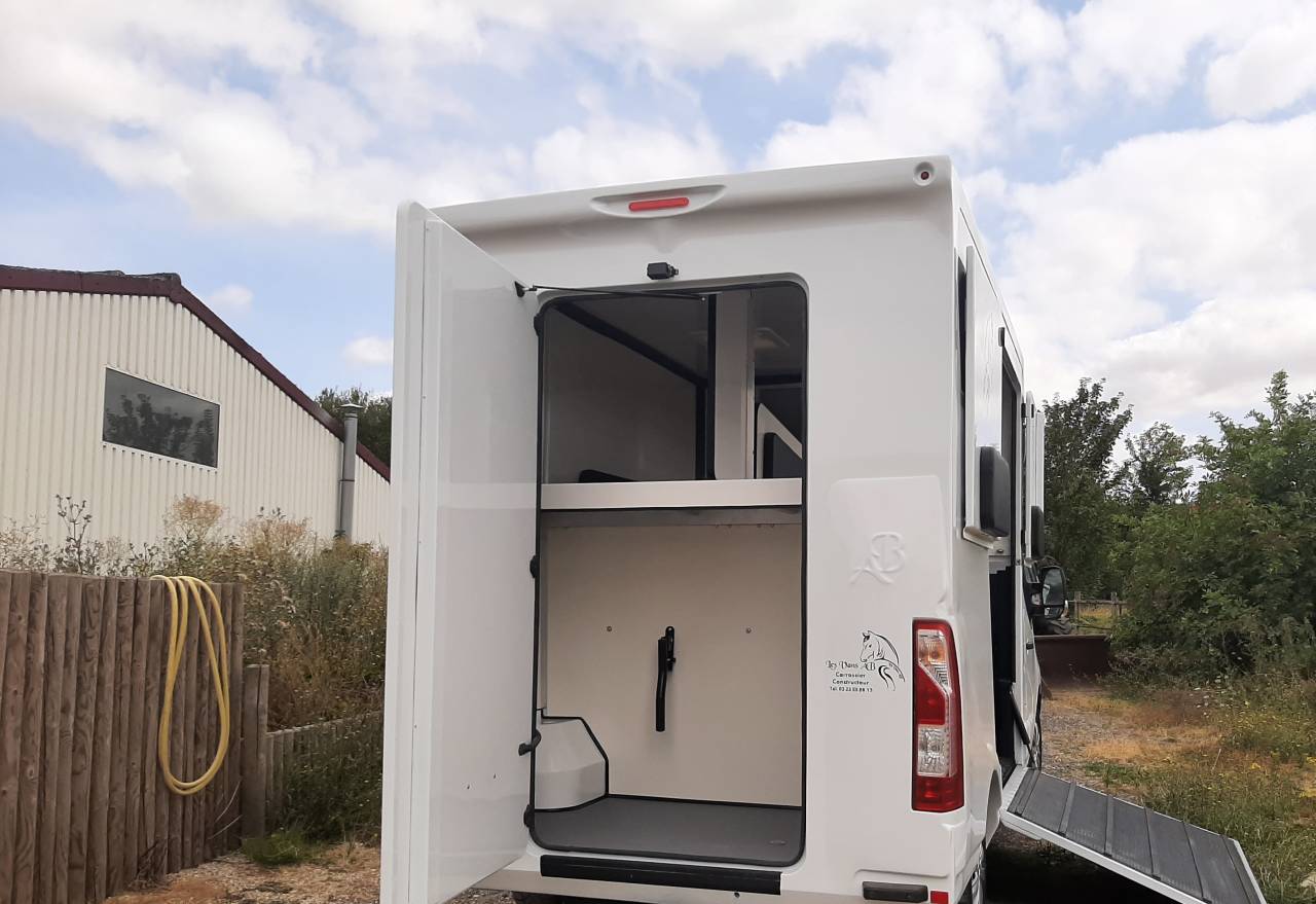 Van per Cavalli Renault Master 2017 Occasione