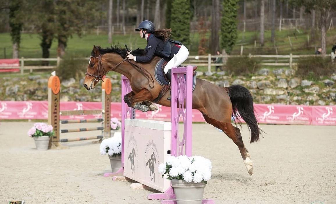 Cavalla PFS Pony Francese da Sella In vendita 2015 Baio ,  INTERMEDE A BORD