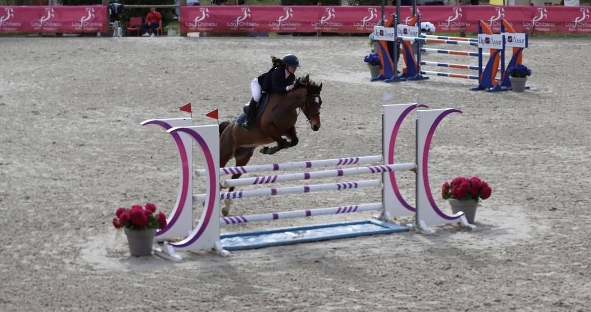 Cavalla PFS Pony Francese da Sella In vendita 2015 Baio ,  INTERMEDE A BORD