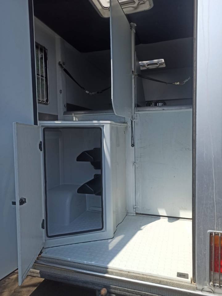 Van per Cavalli Chardron renault Master 2010 Occasione