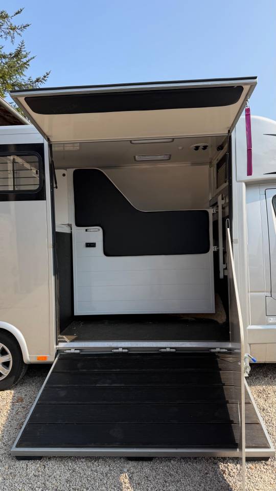 Van per Cavalli Renault Master  2025 Occasione