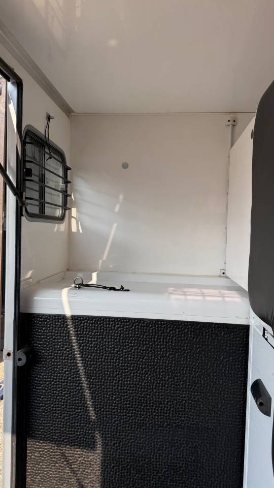 Van per Cavalli Renault Master  2025 Occasione