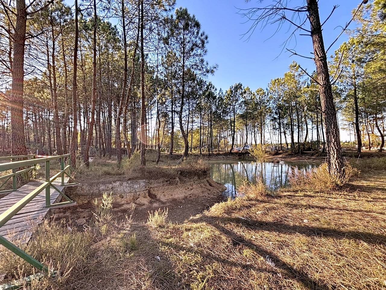 Propriet&agrave; rurale In vendita Gironde