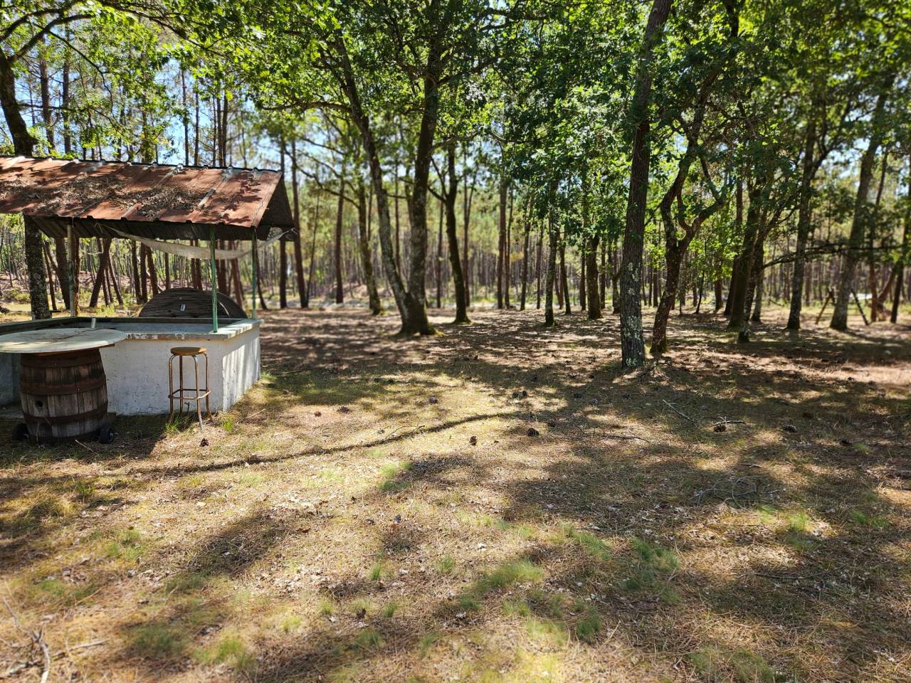 Propriet&agrave; rurale In vendita Gironde
