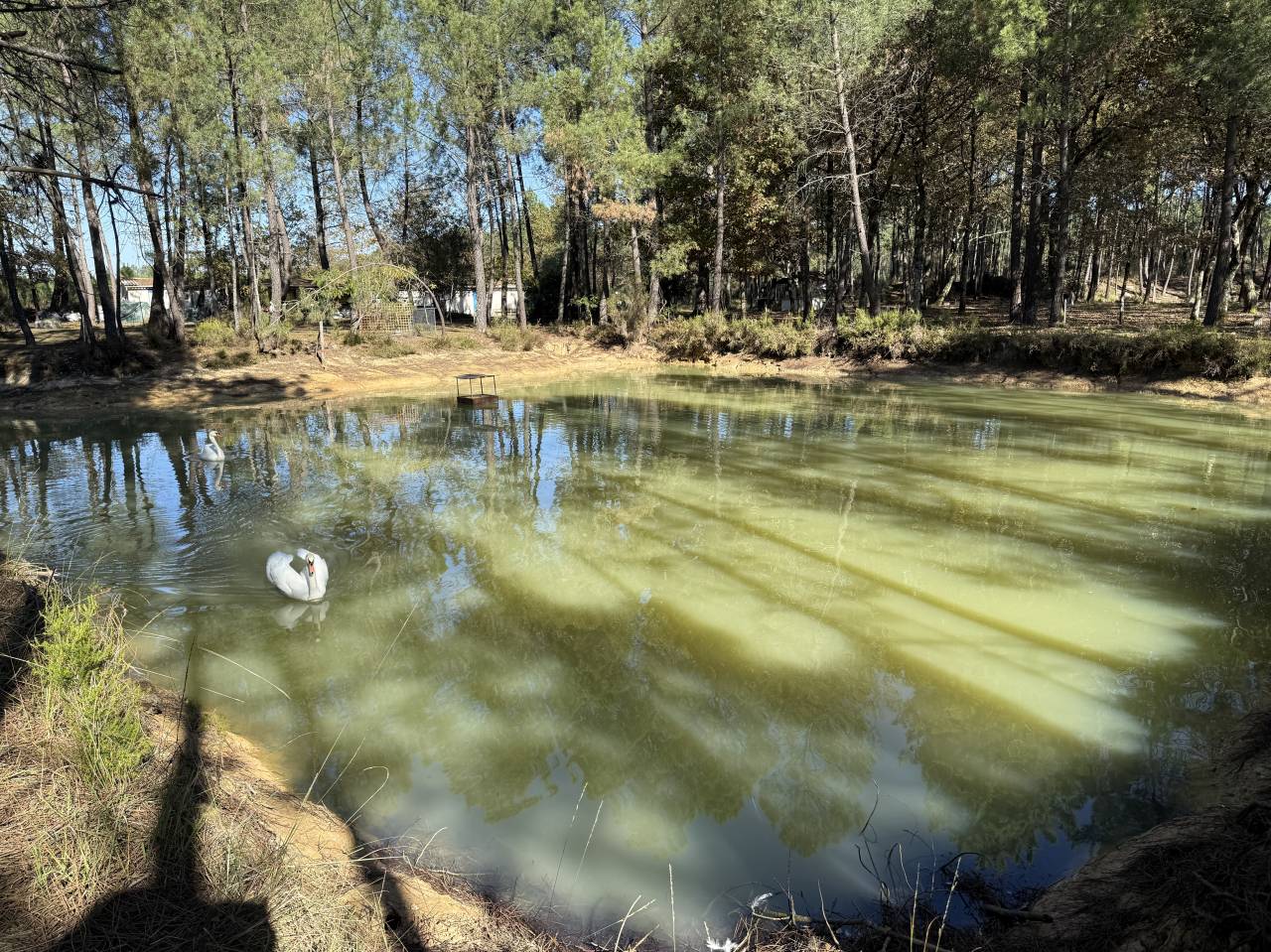 Propriet&agrave; rurale In vendita Gironde