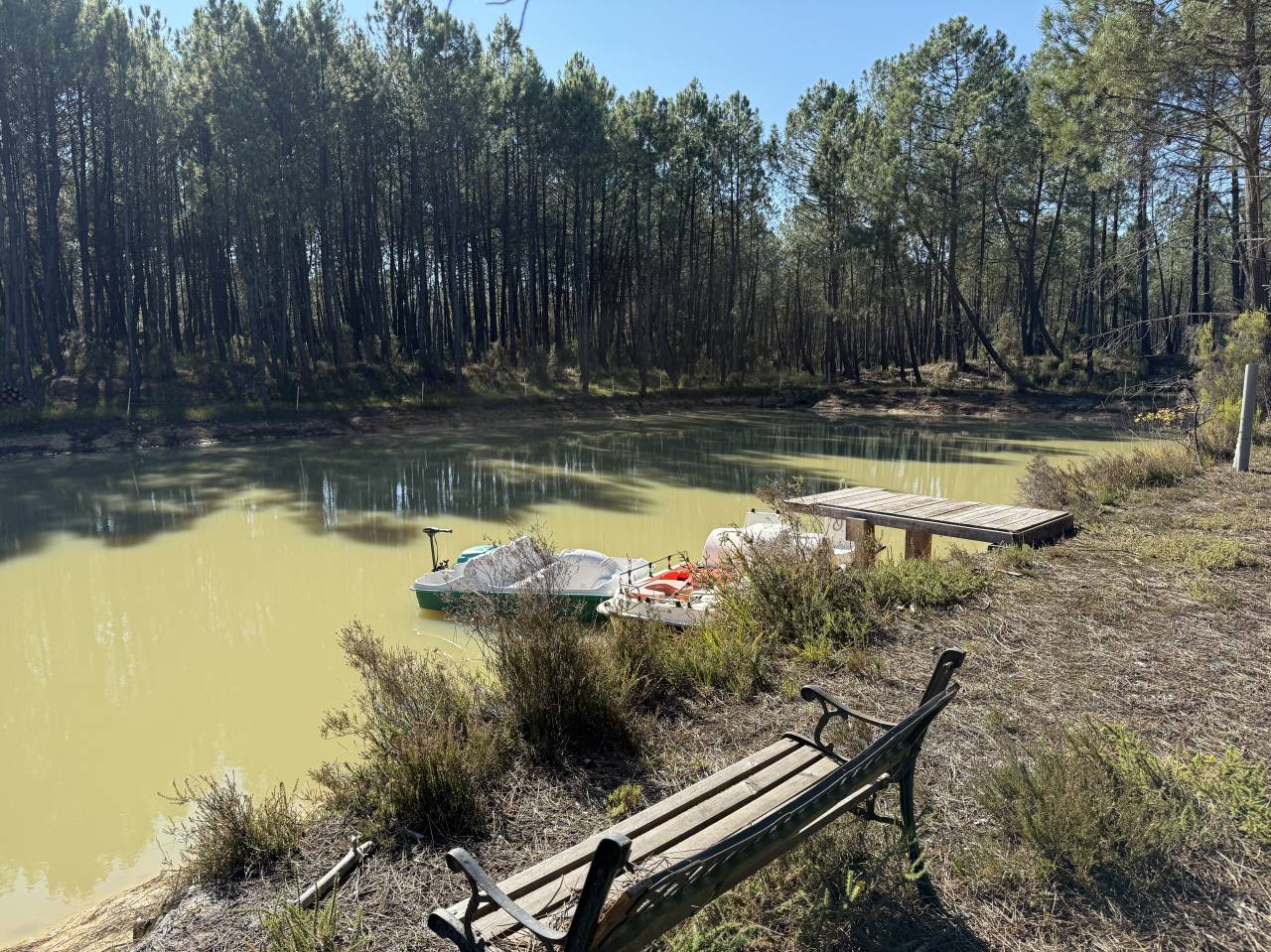 Propriet&agrave; rurale In vendita Gironde