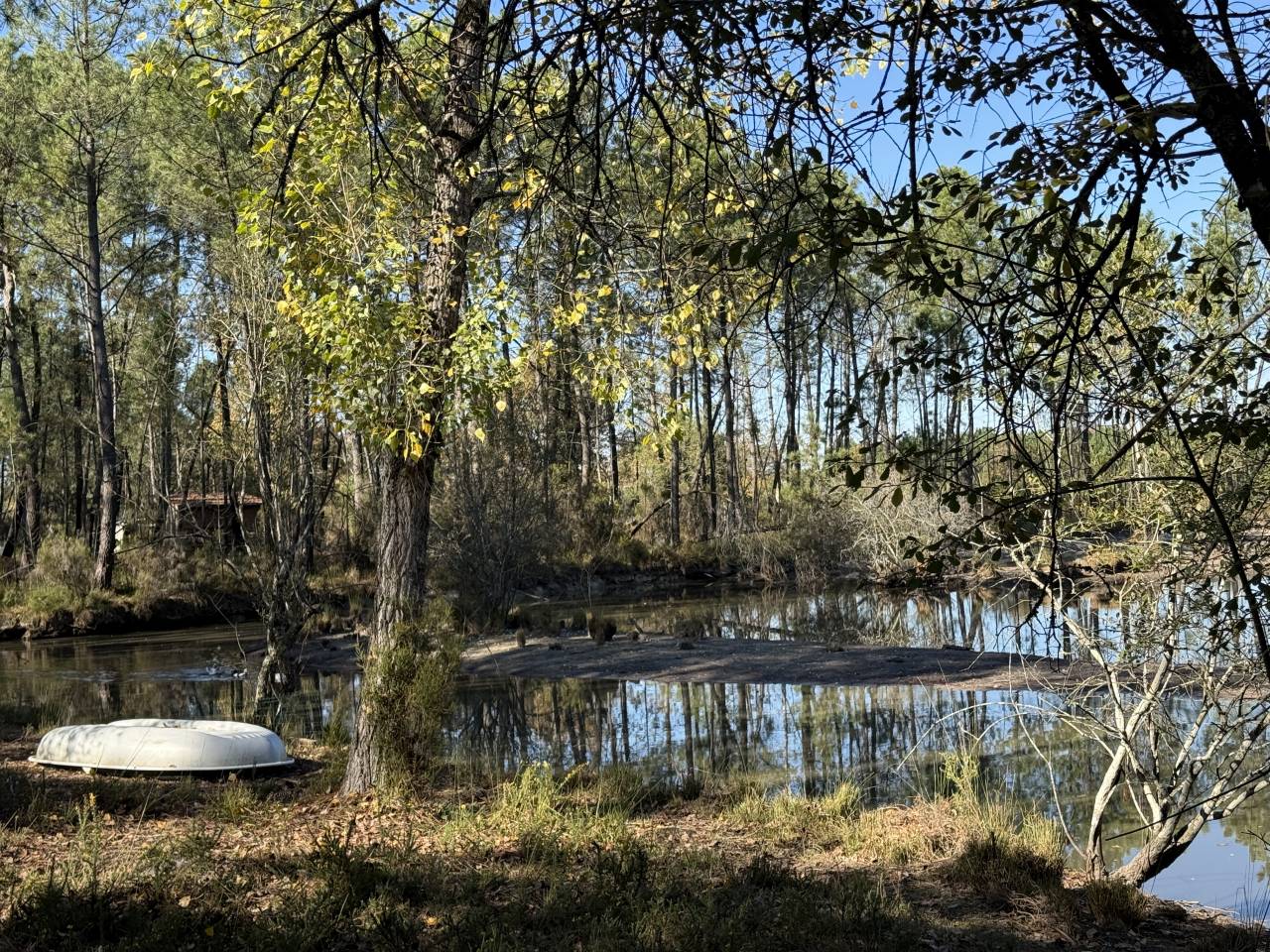 Propriet&agrave; rurale In vendita Gironde