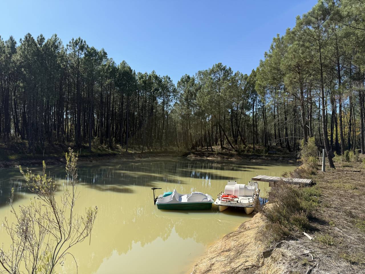 Propriet&agrave; rurale In vendita Gironde