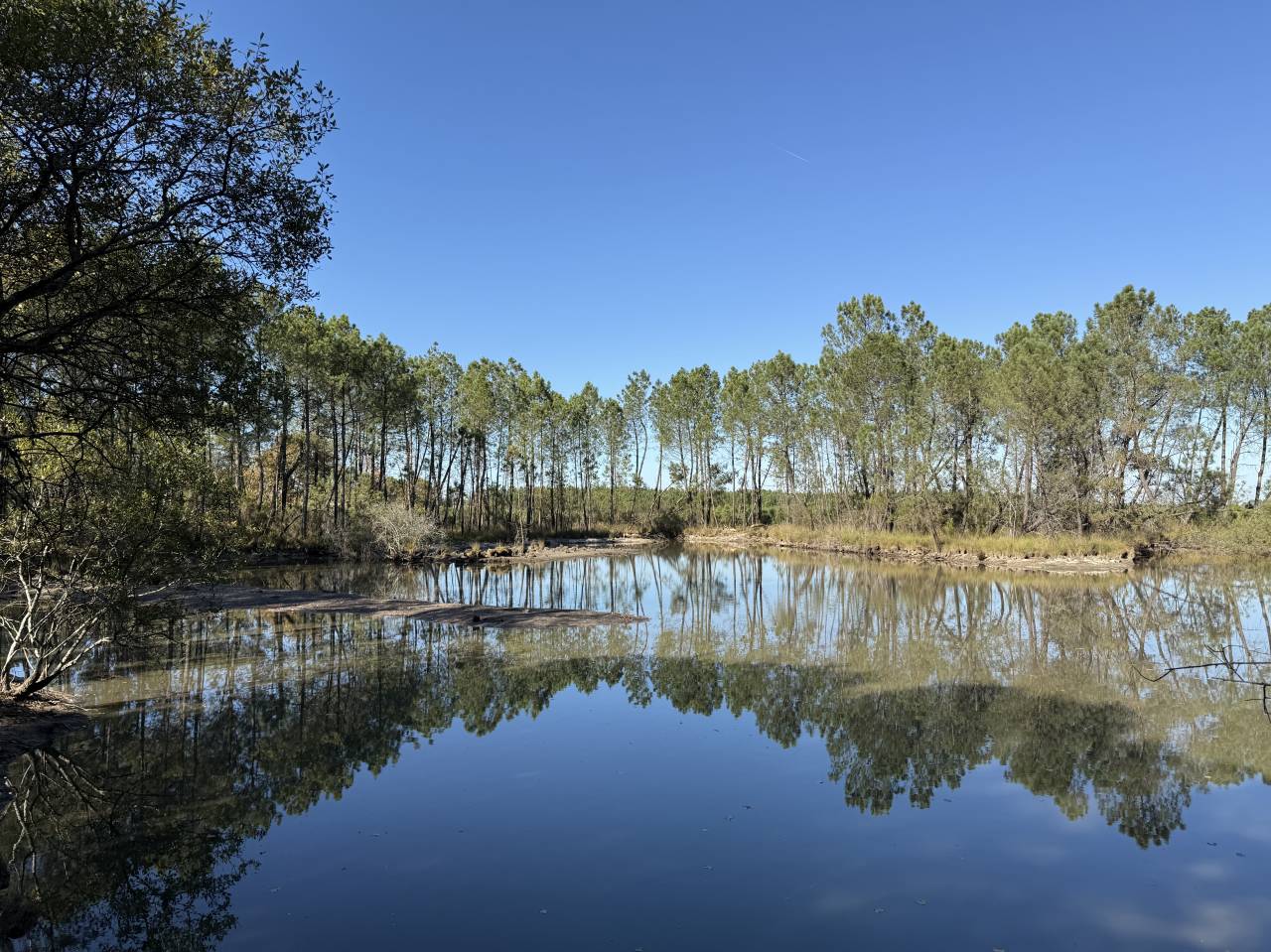 Propriet&agrave; rurale In vendita Gironde