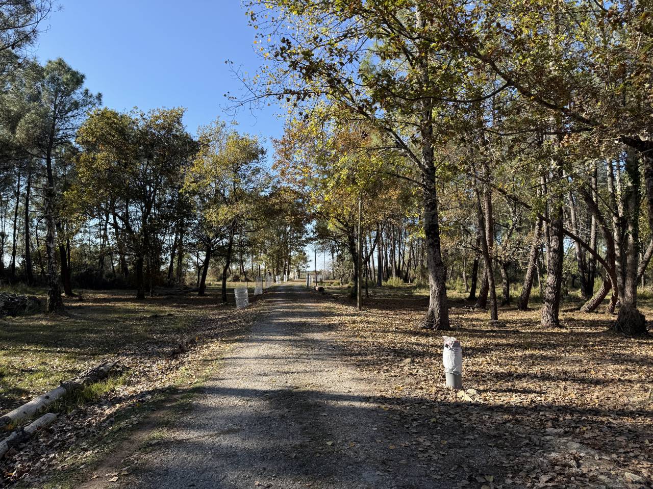 Propriet&agrave; rurale In vendita Gironde