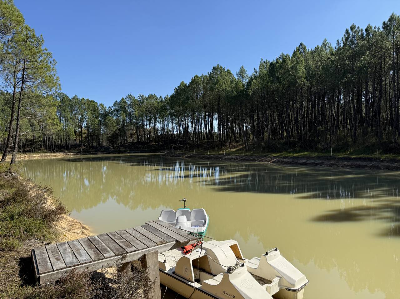Propriet&agrave; rurale In vendita Gironde