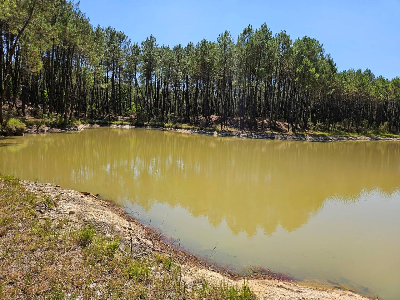 Propriet&agrave; rurale In vendita Gironde