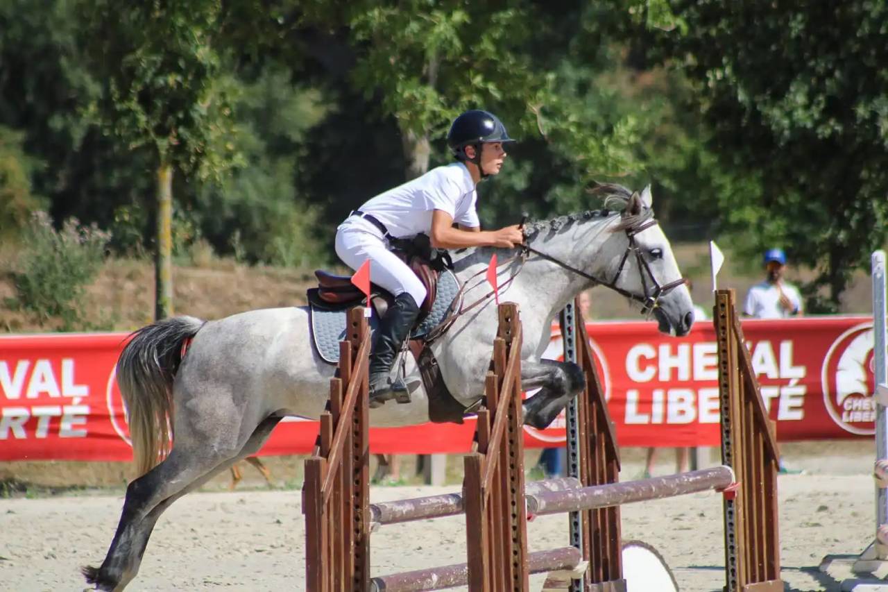 Cavalla Origine non conosciuta  In vendita 2020 Grigio