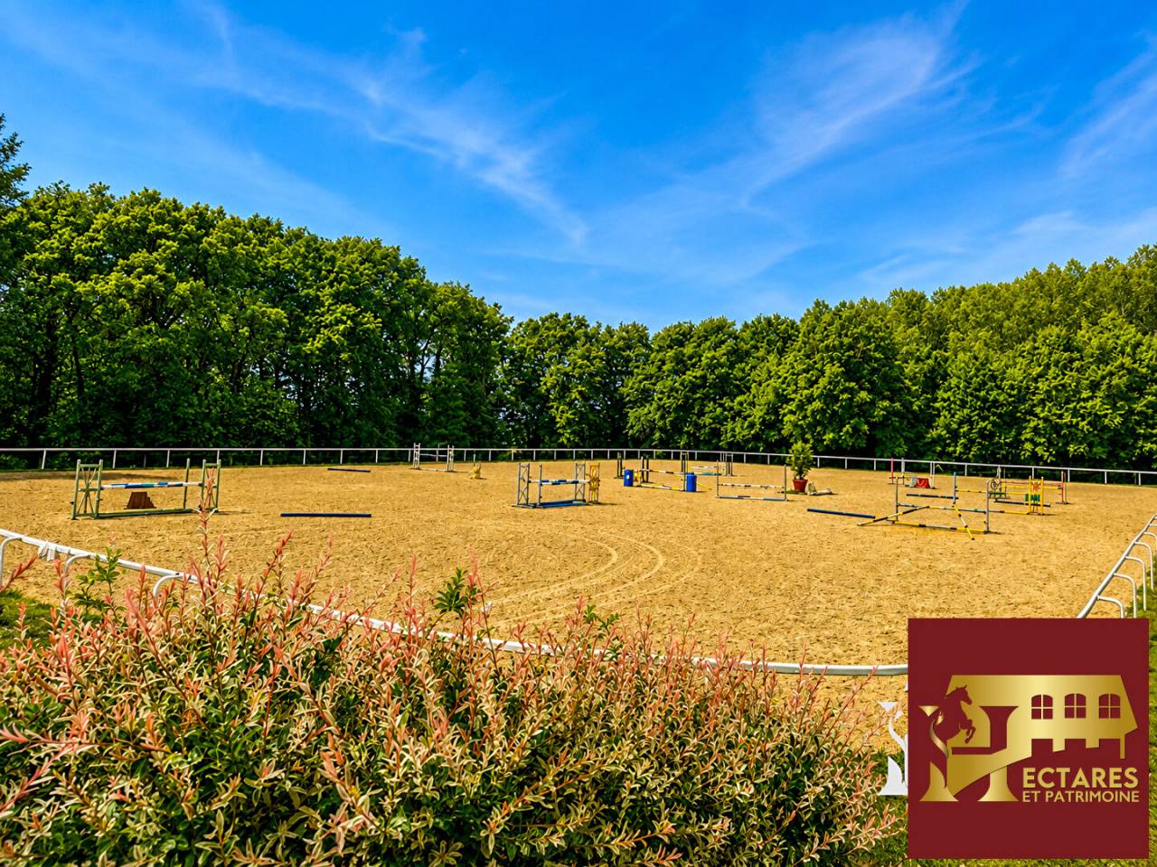 Alloggio equestre In vendita Maine-et-Loire
